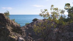 Реальные Звуки Природы.Шум Моря, Шум Океана, Шум волн для сна, медитации и отдыха. Красивый фон