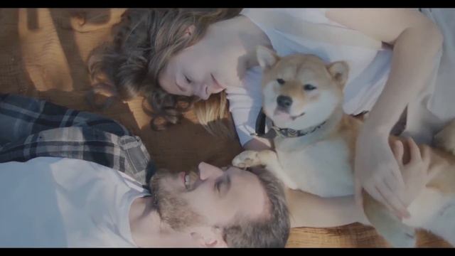 6 способов сказать «Я люблю тебя» своей собаке. смотреть онлайн