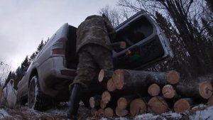 Борьба с мышами, спасение роз, добыча дров и банька. Поездка в деревню.