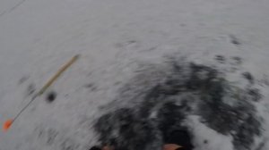 Рыбалка на флаги. Воткинский пруд.