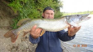 НА РЕЗИНКУ-НА ЖИВЦА-СУДАК ЩУКА ЛОВЛЯ ОСЕНЬЮ.2022.