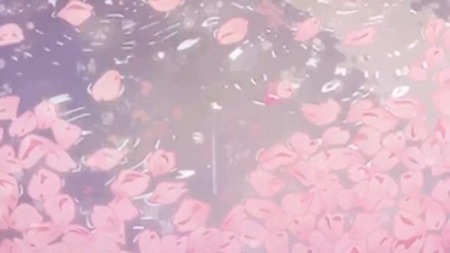 Японский прудик с лепестками сакуры || фон смотреть онлайн