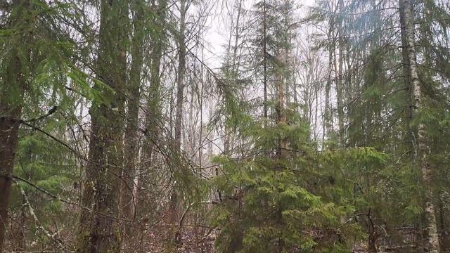 По следам наступления 1944г. Любань смотреть онлайн