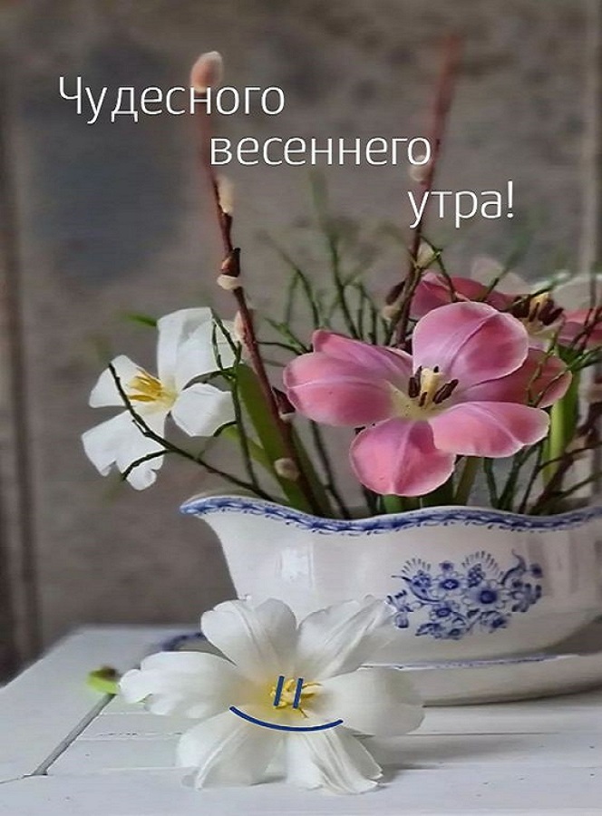 С добрым утром! Желаю солнечного дня и чудесного настроения.