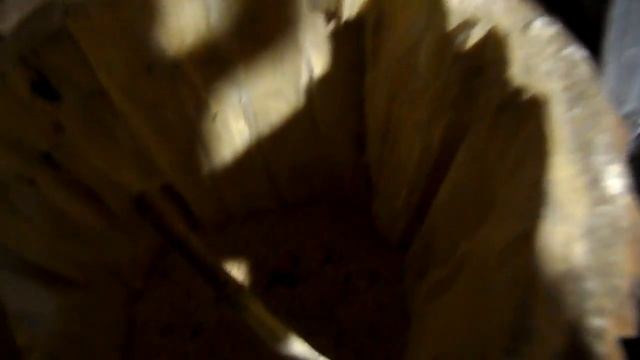 Разведение волнистых попугаев часть-5. Осмотр гнезд. смотреть онлайн