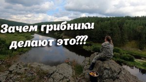 Выход за грибами с детьми! Отдохнули всей семьёй в лесу. Белые, лисички, подосиновики ждали грибника