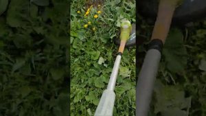 Обзор триммера Greenworks 24 v , три сезона использования.