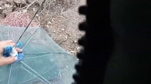 Ловля раков осенью 2021 . Тестирование раколовок . Раки 2021 . Рыбалка 2021 .