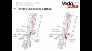 Канал Сердца, диагностика и методы воздействия