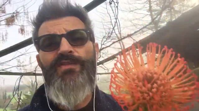 Il fiore rosso che riscalda смотреть онлайн