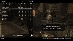 Skyrim Se: Tawney Imperial Merchant Standalone Follower