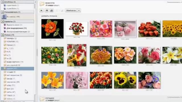 Picasa. Как пользоваться смотреть онлайн