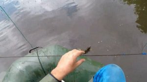 Рыбалка на экраны