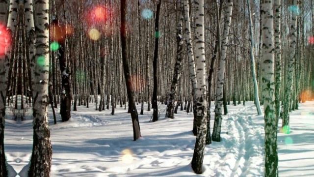 13 февраля народный праздник Никиты Печерского. Что нельзя делать. Народные традиции и приметы.