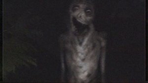 Who is Ghost Pig? “I have the body of a pig” | Trevor Henderson Creatures