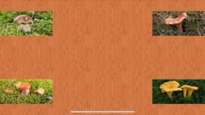 Карточуи Домана Часть 11 Грибы!