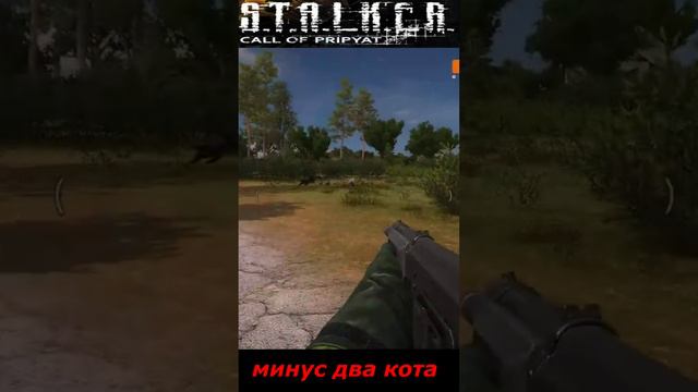 #shorts #S.T.A.L.K.E.R #НАРЕЗКА # ПРИКОЛ # минус два кота