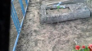 Вот что происходит на кладбеше города лисичанска зеленая роща