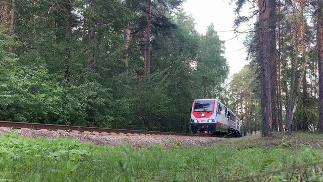 ТУ10-013, Свердловская джд, перегон Солнечная - Пионерская  #джд #екатеринбург #железнаядорога