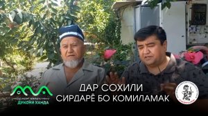 Дар соҳили Сир-Дарё