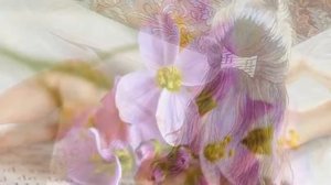 Miriam Stockley  -  Alla Notte -  Adagio