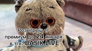 Что нужно для появления басика