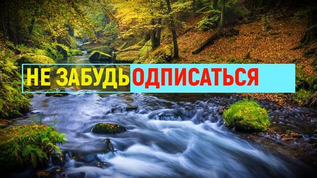 ✔ Наступил долгожданный отпуск ✔ Реальная #историяизжизни ? Аудиорассказы