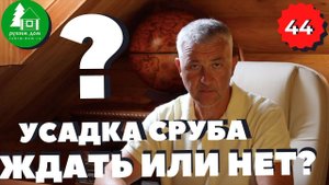 Усадка сруба ждать или нет? Сколько усадка сруба длится? Время усадки сруба.