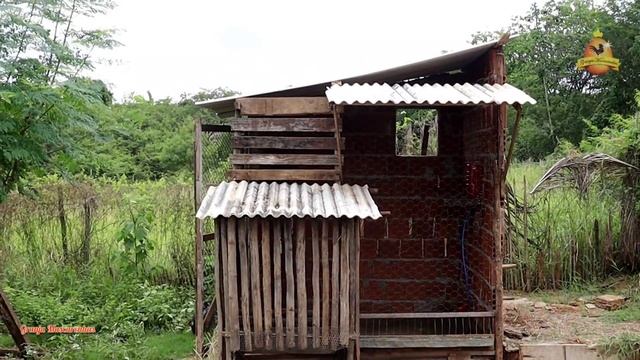 Fiz um galinheiro bacana para os franguinhos, e mais... смотреть онлайн