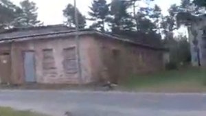 Krzywa, Польша