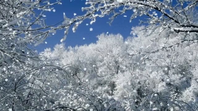 Серебристые снежинки