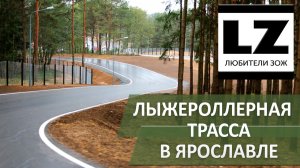 Лыжероллерная трасса в Ярославле. Где кататься на лыжероллерах.