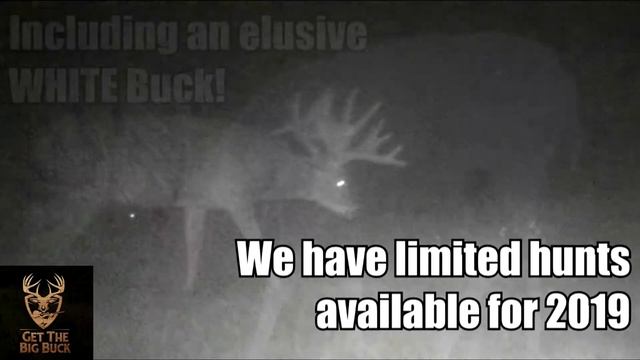 Book your hunt today at Open Trails Trophy Whitetails! смотреть онлайн