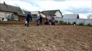 Посадка картошки под двухкорпусный плуг самодельный мини Беларус. Homemade tractor