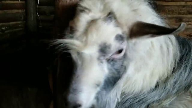 Решили съездить в деревню Воскресенск , копнуть чермета. смотреть онлайн