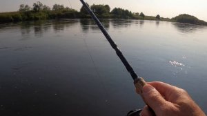 Кижуч на блесну ,река Воямполка.
