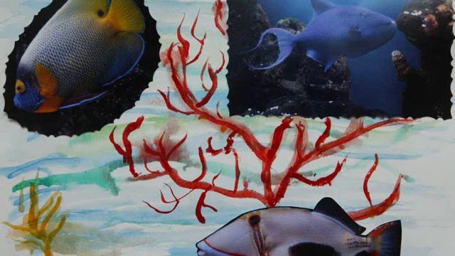 Проект "Мой любимый зоопарк" смотреть онлайн