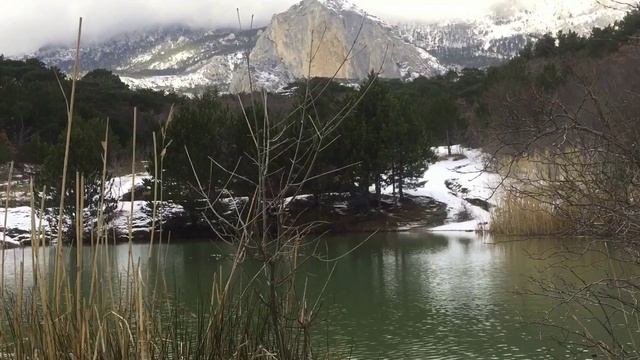 ?КРЫМ в снегу?ЮБК припорошило?Как пережили БЛЭКАУТ? Собачий восторг!! Лес и горы в снегу смотреть онлайн