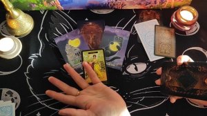 Финансы , риски и социальная активность.