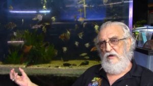 5 ELEMENTS OF A BALANCED AQUARIUM - FATHER FISH || FOREVER AQUARIUMS