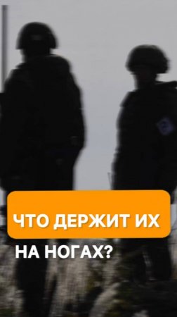 Что держит их на ногах?