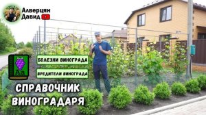 Важная обработка перед цветением, не пропустите!