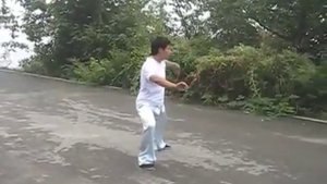 Комплекс (таолу) "18 форм". Мастер Пан Дэли. Стиль Чень тайцзицюань.