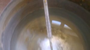 осахаривание пшеничной муки зеленым солодом и установка браги