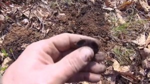 Коп в Приморье. Апрель 2022