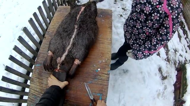 СТАВИМ КАПКАНЫ НА ПЛОТИНЕ И РАЗДЕЛКА БОБРА смотреть онлайн