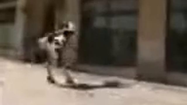 Накуренная коров смотреть онлайн