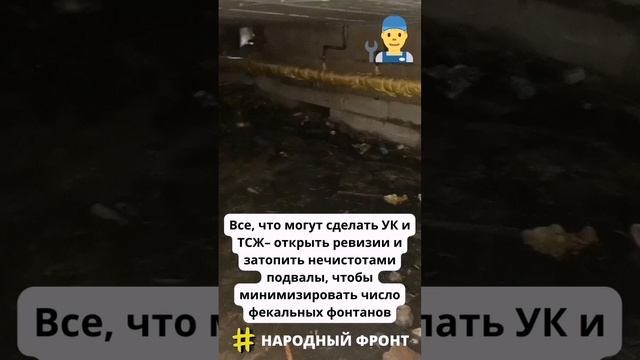 Воронежцы приглашают чиновников на уборку в свои залитые нечистотами квартиры и подвалы.mp4