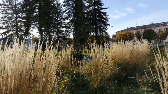 Осенний Палех (Excursion from the Air 2021) смотреть онлайн