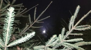 Живая луна...